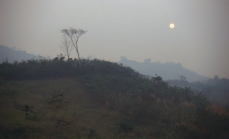 90_Nevelige ochtend door brandcultuur, Chiapas.jpg